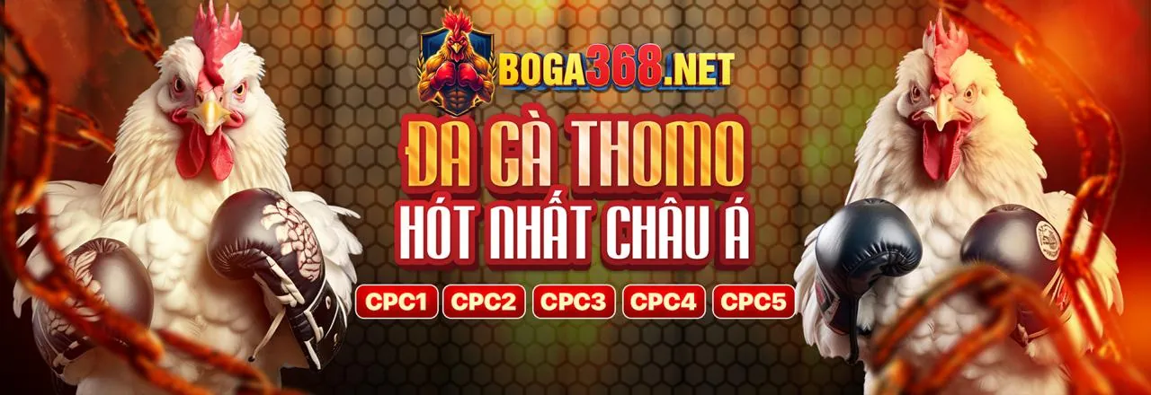 Đá Gà Trực Tuyến f66 2026